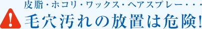 皮脂・ホコリ・ワックス・ヘアスプレー・・・ 毛穴汚れの放置は危険!