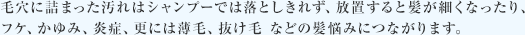 毛穴に詰まった汚れはシャンプーでは落としきれず、放置すると髪が細くなったり、フケ、かゆみ、炎症、更には薄毛、抜け毛 などの髪悩みにつながります。