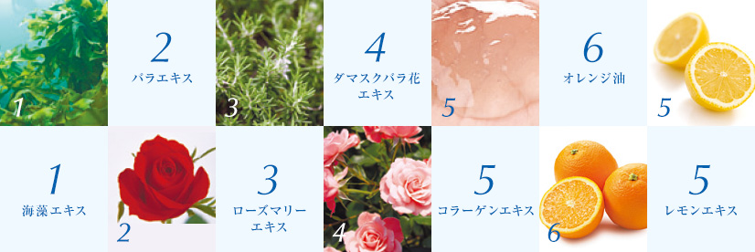 1 海藻エキス 2 バラエキス 3 ローズマリーエキス 4 ダマスクバラ花エキス 5 コラーゲンエキス 6 オレンジ油 5 レモンエキス