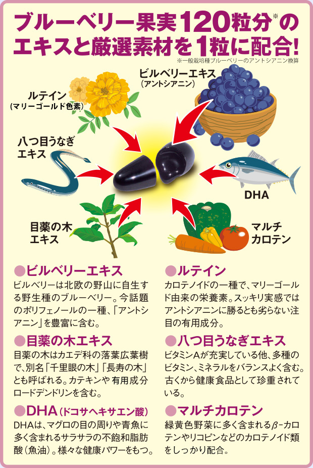 ブルーベリー家族（βカロテン）｜サニーヘルスショッピング[公式通販]