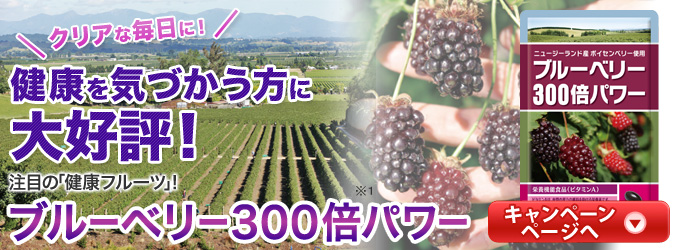 ブルーベリー300倍パワー｜サニーヘルス公式オンライン