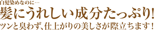 マルベール ロイヤルカラーex ブラウン サニーヘルス公式オンラインショッピング