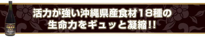 活力が強い沖縄県産食材18種の生命力をギュッと凝縮!!
