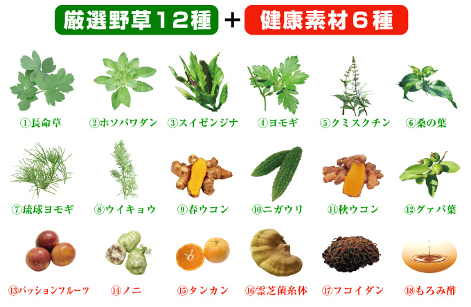 厳選野草12種+健康素材6種