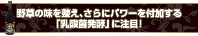 野草の味を整え、さらにパワーを付加する「乳酸菌発酵」に注目!