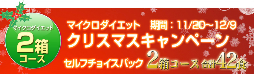 目標-3kg！ちょっとやせたいあなたに！マイクロダイエット セルフチョイスパック 2箱セット