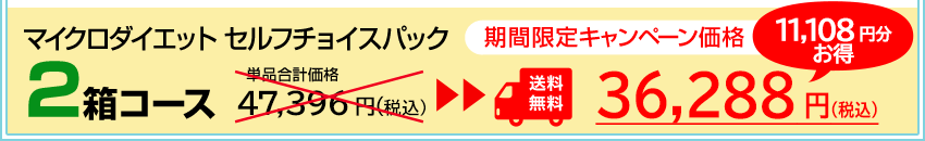 セルフチョイスパック 2箱セット