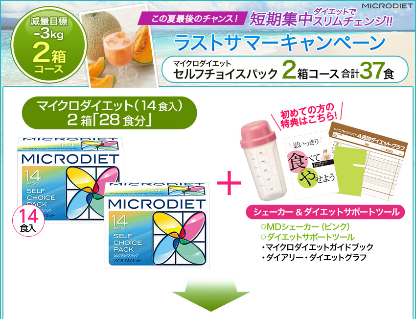 目標-3kg！ちょっとやせたいあなたに！マイクロダイエット セルフチョイスパック 2箱セット