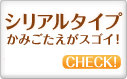 シリアルタイプ