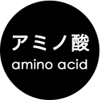 アミノ酸 amino