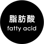 脂肪酸 fatty acid