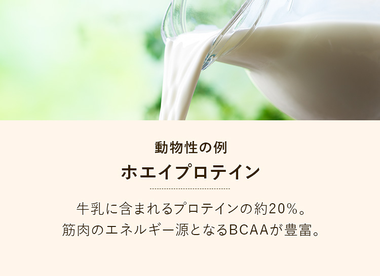 動物性の例:ホエイプロテイン