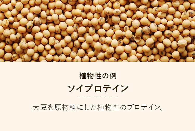 植物性の例:ソイプロテイン
