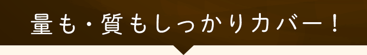 量も質もしっかりカバー!