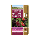BB300EX